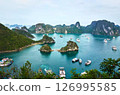 Halong Bay  126995585
