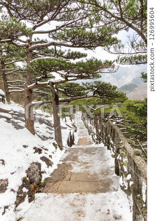 Hiking path at Huangshan or Yellow Mountain in China with pine trees. Huangshan is popular tourism destination. 126995604