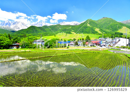 View of Mount Hakuba and the area around Hakuba Tsugaike Mountain Resort (Otari Village, Nagano Prefecture) [June 2025] 126995829