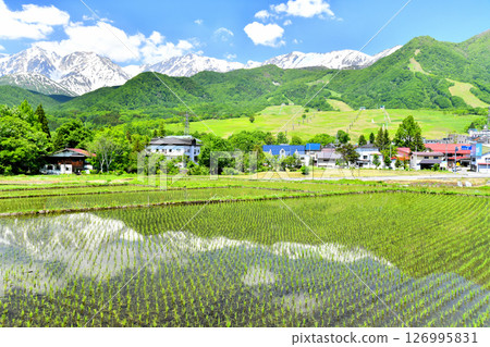 View of Mount Hakuba and the area around Hakuba Tsugaike Mountain Resort (Otari Village, Nagano Prefecture) [June 2025] 126995831