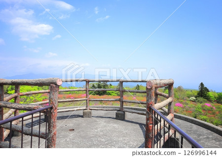 Azaleas of Omamadai, Happogahara / Yaita City, Tochigi Prefecture 126996144