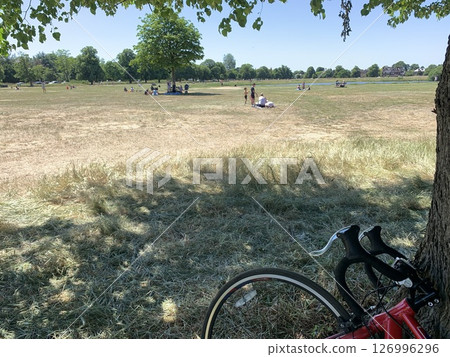 Park in London Park in London 126996296