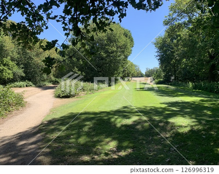 英國公園 126996319