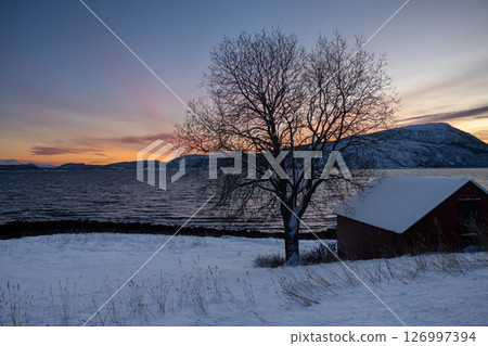 Snowy  mountains and sea in the sunset, Norway 126997394