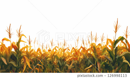 閃亮的玉米穗 126998113