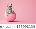 Little rabbit in cracked egg. Playful banner poster for Easter advertising 126998139