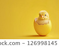 Little chick peering out from cracked egg on yellow backdrop. Easter and new life concept 126998145