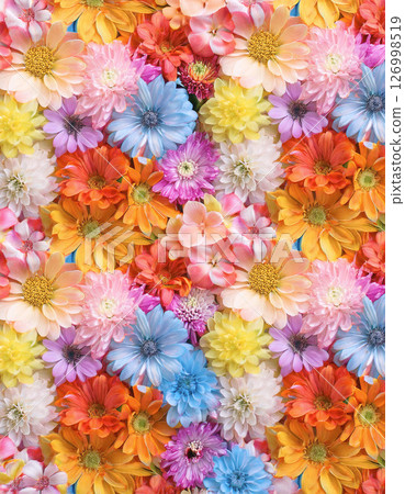colorful flower background 126998519