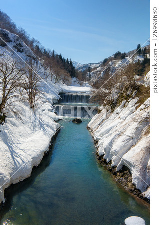 250301 Akiyamago Shimizugawahara 126998630