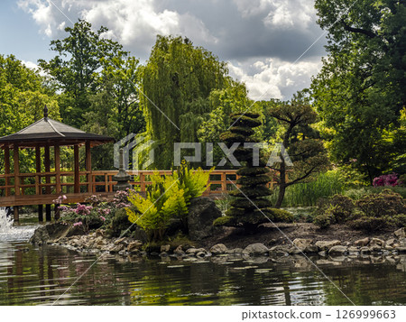 Scenic Japanese Garden With a Wooden Gazebo and Verdant Landscaping Scenic Japanese Garden With a Wooden Gazebo and Verdant Landscaping 126999663