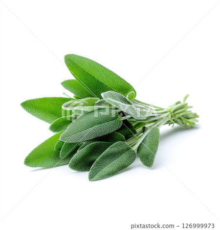 Fresh sage herb isolated on a white background showcasing its vibrant green leaves and smooth texture with subtle veining details 126999973