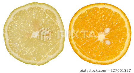 Two citrus fruit slices, a lemon and an orange, isolated background 127001557