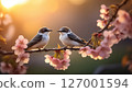 Springtime moments with birds amidst cherry blossoms capturing spring feeling and tranquil beauty 127001594