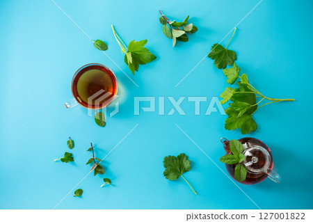 Green tea from currant and mint leaves in a glass teapot Green tea from currant and mint leaves in a glass teapot 127001822