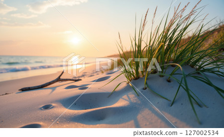 Tranquil beach sunset with sand and grass. 127002534
