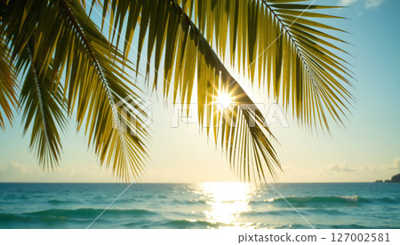 Tropical sunset behind palm leaves. 127002581