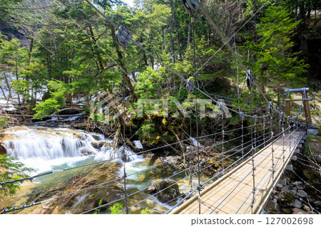 Early summer on the Oono River, Sanbontaki Promenade, Matsumoto City, Nagano Prefecture 127002698