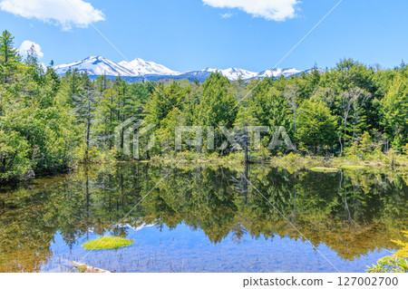 長野縣松本市初夏的牛留池 127002700