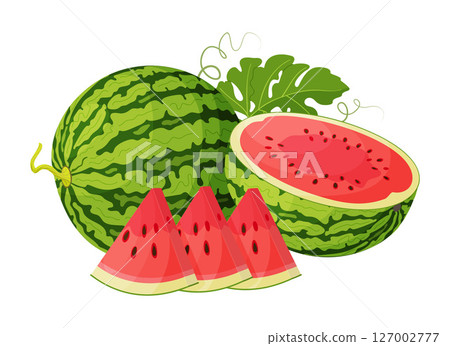 Red watermelon whole, half, cut into wedges and green leaves. Hand drawn trendy flat style Red watermelon whole, half, cut into wedges and green leaves. Hand drawn trendy flat style 127002777
