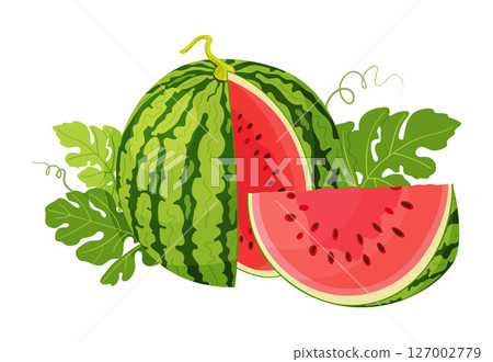 Red watermelon slices and green leaves. Fruit berry Hand drawn trendy flat style Red watermelon slices and green leaves. Fruit berry Hand drawn trendy flat style 127002779