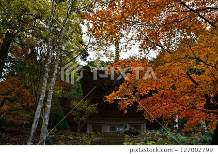 秋天的聖嚴寺 秋天的聖嚴寺 127002799