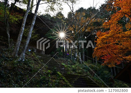 秋天的聖嚴寺 秋天的聖嚴寺 127002800