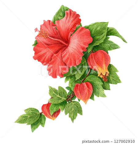 Abuchiron twig with red Hibiscus flower elongated summer arrangement. Hand drawn watercolor botanical art. Vacation vibe graphic element. Perfect for vibrant card template and holiday season design. Abuchiron twig with red Hibiscus flower elongated summer arrangement. Hand drawn watercolor botanical art. Vacation vibe graphic element. Perfect for vibrant card template and holiday season design. 127002910