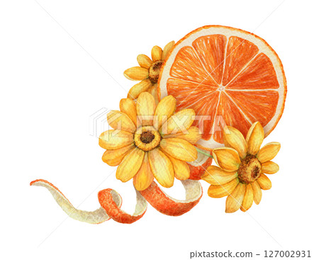 Orange slice with twisted peel and yellow flower arrangement. Hand drawn watercolor food illustration. Citrus image with realistic texture. Perfect for summer card template and cute sticker design. Orange slice with twisted peel and yellow flower arrangement. Hand drawn watercolor food illustration. Citrus image with realistic texture. Perfect for summer card template and cute sticker design. 127002931