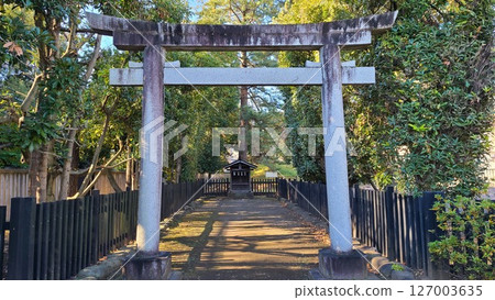 淺間神社的富士山 127003635