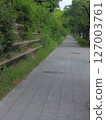 A road surrounded by green 127003761