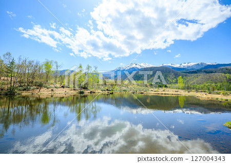 Maimenoike Pond in early summer, Matsumoto City, Nagano Prefecture 127004343