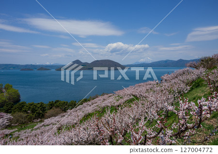 從壯瞥公園的觀景台可以欣賞到洞爺湖和羊蹄山的壯麗景色，櫻花和梅花盛開 127004772