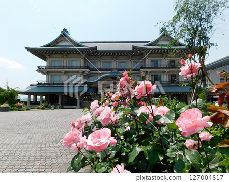 琵琶湖大津館前的玫瑰 琵琶湖大津館前的玫瑰 127004817