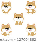 柴犬，豆柴，套裝，狗，可愛，動物，人物，無主線 127004862