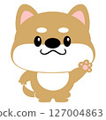 柴犬，豆柴，狗，可愛，動物，人物，無主線 127004863