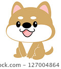 柴犬，豆柴，狗，可愛，動物，人物，無主線 127004864
