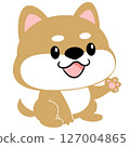 柴犬，豆柴，狗，可愛，動物，人物，無主線 127004865