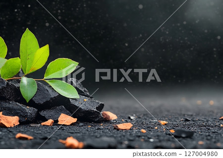 young sprout growing from seed 127004980