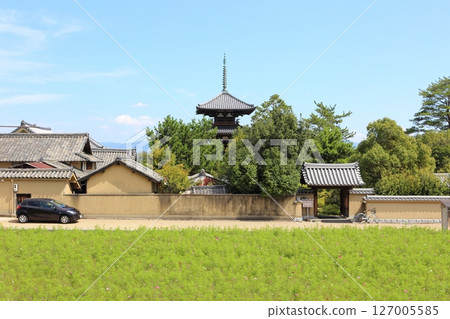 Ikaruga Village, Hokkiji Temple, and the National Treasure Three-story Pagoda [Ikaruga Town, Nara Prefecture] 127005585