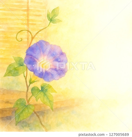 Summer image flower Morning glory drawn by watercolor 8 127005689