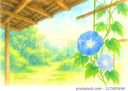 牽牛花9在花廊上，夏天的景象 127005690