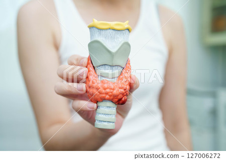Hyperthyroidism, Overactive Thyroid, Thyroid Lymphoma, Asian woman with thyroid gland human anatomy model. 127006272