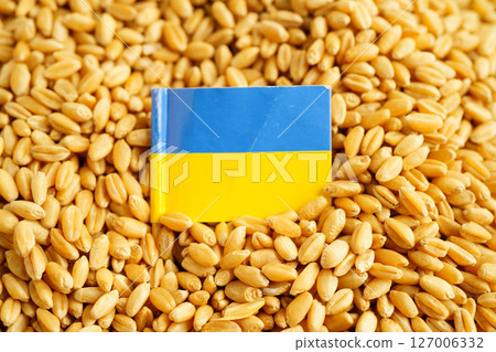 Ukraine flag on grain wheat, trade export and economy concept. 127006332