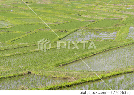 Kunugi-daira rice terraces Kunugi-daira rice terraces 127006393