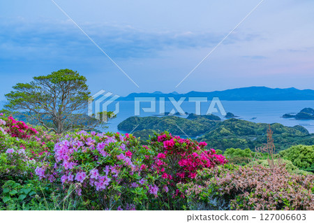 (Nagasaki Prefecture) Azaleas and the Kita-Kujukushima Islands at Nagushiyama Park, early morning 127006603