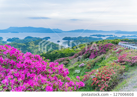 (Nagasaki Prefecture) Azaleas and the Kita-Kujukushima Islands at Nagushiyama Park, early morning (Nagasaki Prefecture) Azaleas and the Kita-Kujukushima Islands at Nagushiyama Park, early morning 127006608