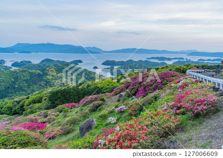 (Nagasaki Prefecture) Azaleas and the Kita-Kujukushima Islands at Nagushiyama Park, early morning 127006609