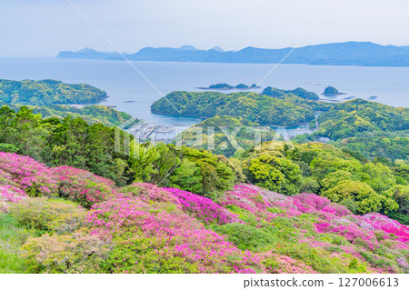（長崎縣）長串山公園的杜鵑花和北九十九島，清晨 127006613