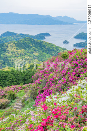 (Nagasaki Prefecture) Azaleas and the Kita-Kujukushima Islands at Nagushiyama Park, early morning 127006615