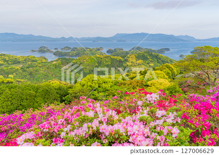 (Nagasaki Prefecture) Azaleas and the Kita-Kujukushima Islands at Nagushiyama Park, early morning (Nagasaki Prefecture) Azaleas and the Kita-Kujukushima Islands at Nagushiyama Park, early morning 127006629